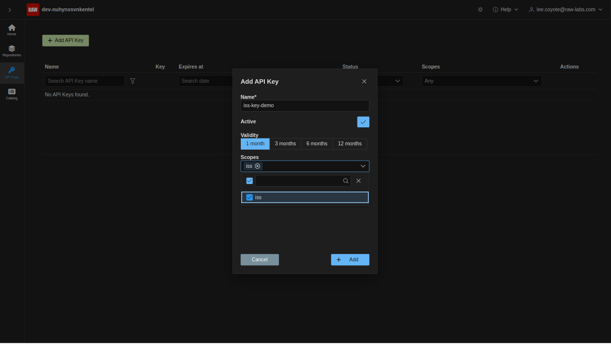 new API key form